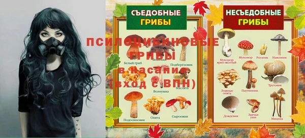 тгк Алексин